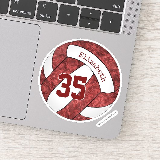 マルーン女子バレーボールチームの色名番号 シール (詳細)