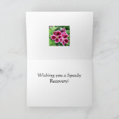 マルーン美しい、早く元気になれ！ カード (内部)