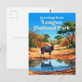 マルawi国レングウェ国立公園 ポストカード (正面/裏面)