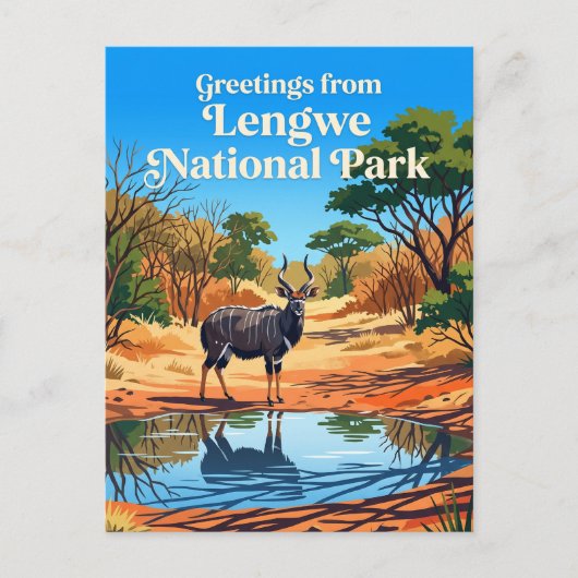 マルawi国レングウェ国立公園 ポストカード (正面)