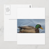 マルIII ポストカード (正面/裏面)