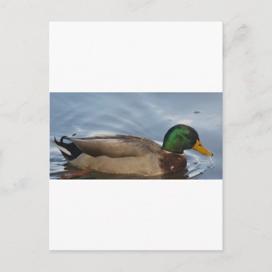 マルIII ポストカード (正面)