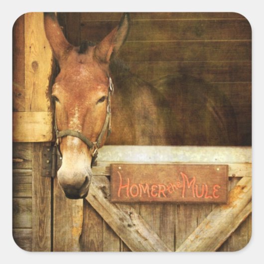 マレをホーマーにする スクエアシール (正面)