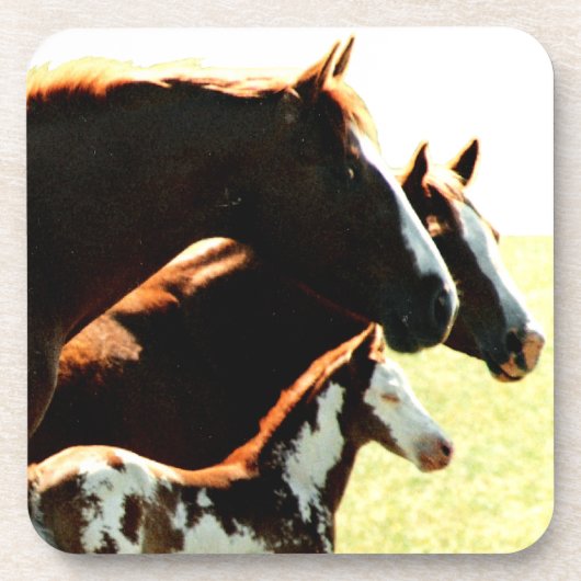 マレスとファウルの馬 コースター (正面)