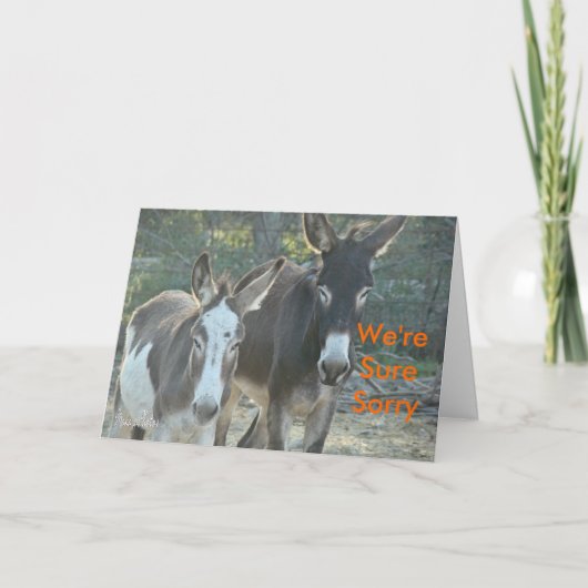 マレスカスタマイズ カード (正面)