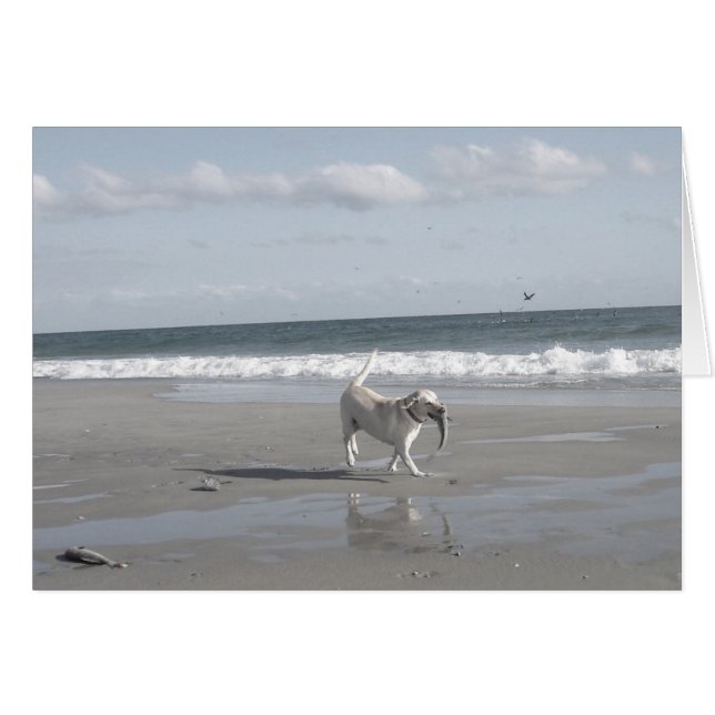 マレットの子犬II (正面横)