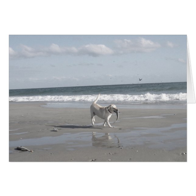 マレットの子犬III (正面横)