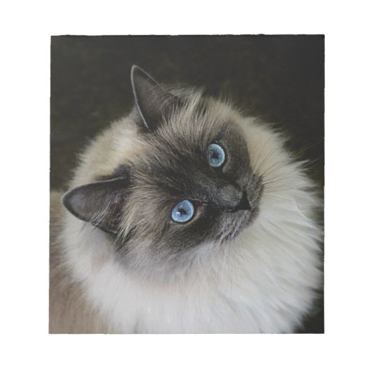 マレディ ノートパッド (正面)