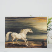 マレンゴ・ザ・ホワイト・ホース カード (スタンド正面)