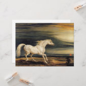 マレンゴ・ザ・ホワイト・ホース カード (正面/裏面インサイチュ)