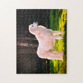 マレンマシェプドッグ美しい ジグソーパズル