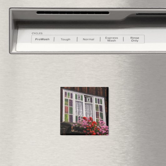 マレン窓磁石 マグネット (インサイチュ (食洗機))