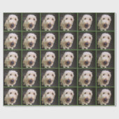 マレーの包装紙 ラッピングペーパー (フラット)