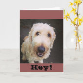 マレーの挨拶状 カード (黄色い花)