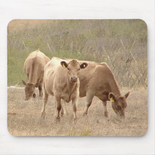 マレーの灰色のマウスパッド マウスパッド (正面)