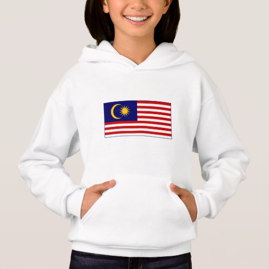 マレーシアの旗 (正面)