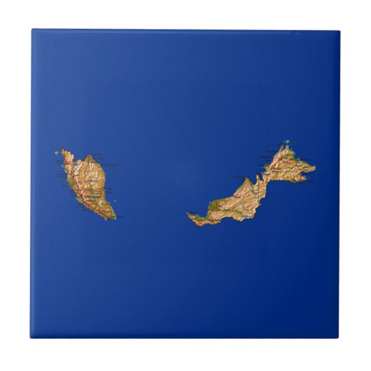 マレーシア地図タイル タイル (正面)