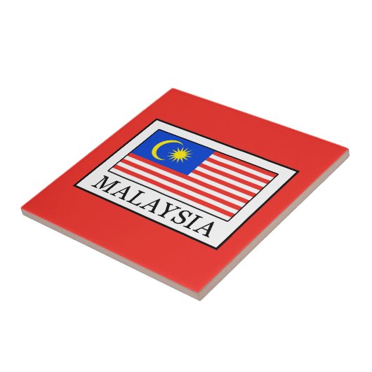 マレーシア タイル (側面)