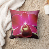 マレーシア，蘭 クッション (ブランケット)