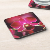 マレーシア，蘭 コースター (左側)