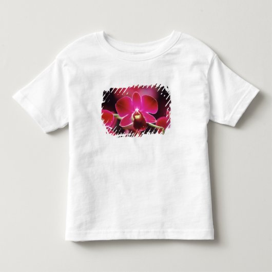 マレーシア、蘭 トドラーTシャツ (正面)