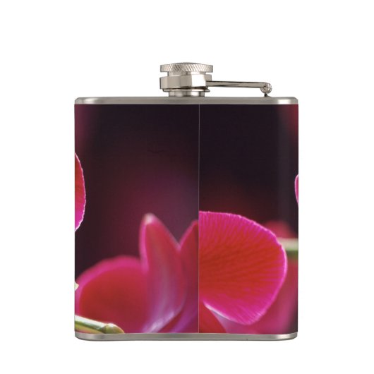 マレーシア，蘭 フラスク (裏面)