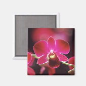 マレーシア，蘭 マグネット (正面/裏面)