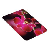 マレーシア，蘭 マグネット (右側)