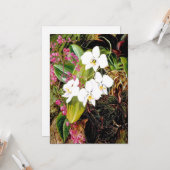 マレートモスオーキッドとアメリカのクライマー カード (正面/裏面インサイチュ)