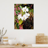 マレートモスオーキッドとアメリカのクライマー ポスター (キッチン)