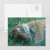 マレートラ ポストカード (正面/裏面)