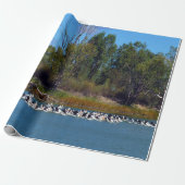 『マレー川の漁師たち – ペリカンの集まり』 ラッピングペーパー (アンロールド)