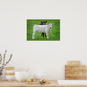 マレー灰色の子牛（王の典型的な農村風景） ポスター (キッチン)