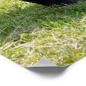 マレー語タピール歩くオン・グラス ポスター (角)