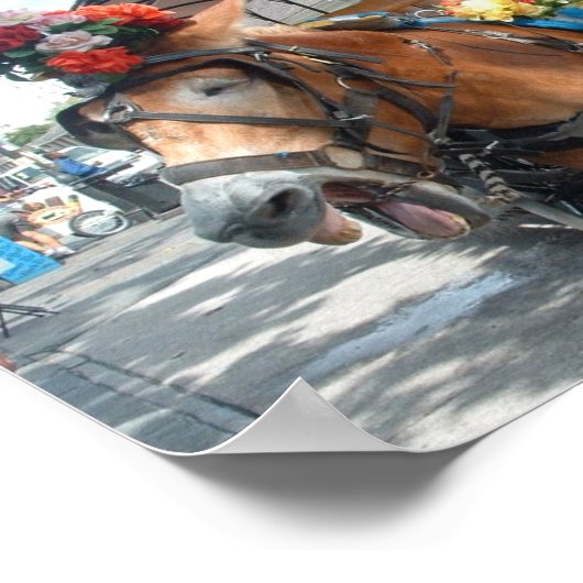 マレ乗り ポスター (角)