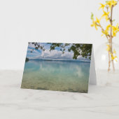 マロボ湖の静かな水 カード (黄色い花)