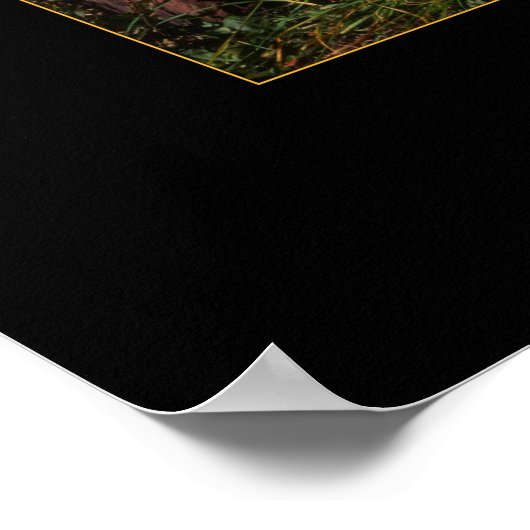 マロンベル ポスター (角)