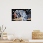 マローホースラジャスタン2010 ポスター (キッチン)