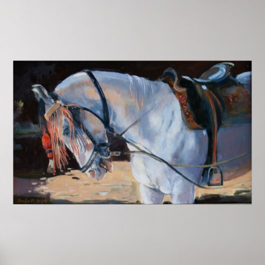 マローホースラジャスタン2010 ポスター (正面)