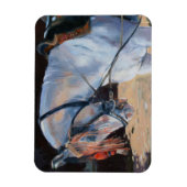 マローホースラジャスタン2010 マグネット (縦)