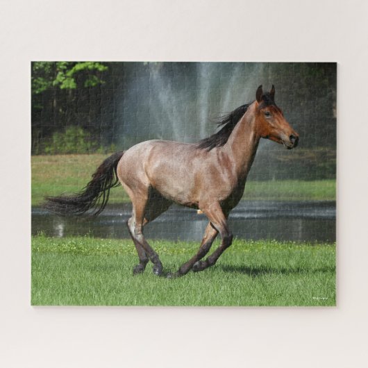 マンガラランニングガの噴水の前 ジグソーパズル (横)