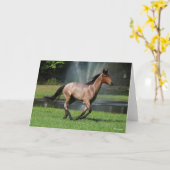 マンガラランニングルガの泉の前 カード (黄色い花)