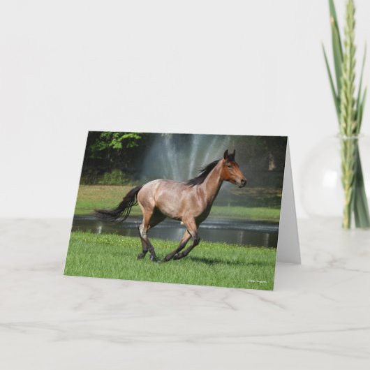 マンガラランニングルガの泉の前 カード (正面)