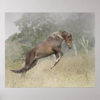 マンガラルガマルチャドールスタリオンアットリバティ ポスター