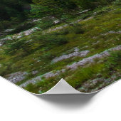 マンガルト山の上の驚くべき夕日の雲 ポスター (角)