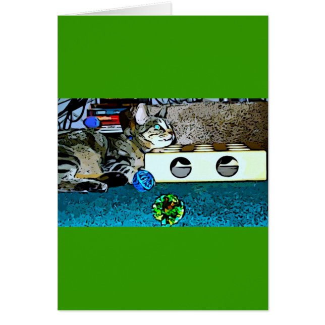 マンガ・インディゴ (正面)