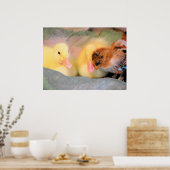 マンガ・ダックとシック ポスター (キッチン)