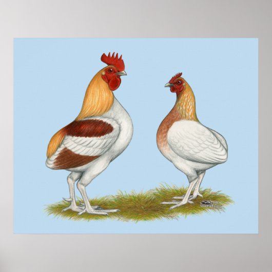 マンクス・ランピーズ ポスター (正面)