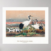 マングリアのグランダン ポスター (正面)