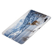 マングシカ マグネット (左側)